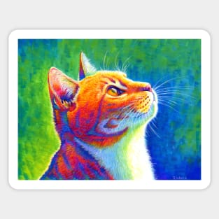 Anticipation Psychedelic Rainbow Tabby Cat Sticker